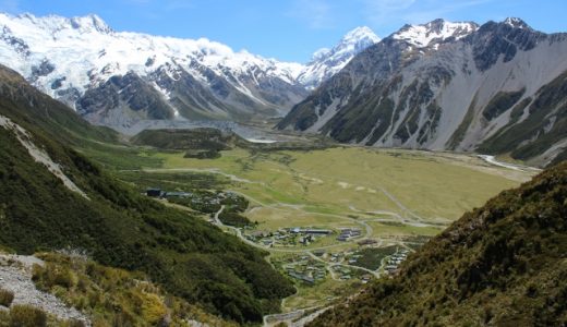 ニュージーランド産のマヌカハニーが最も有名な理由とは！？